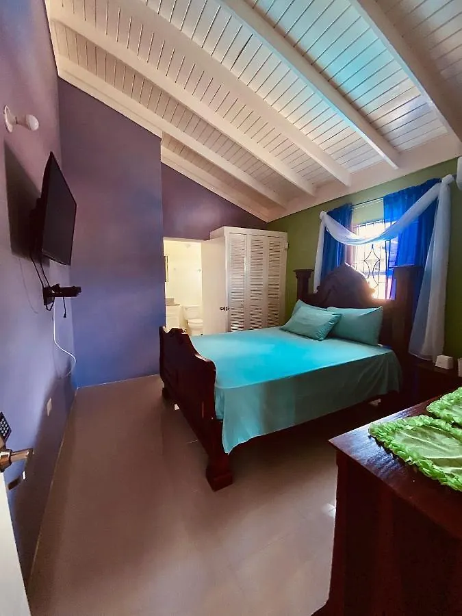 Paradise Villa Shared Onsite Private Pool Onsite Gym Ocho Rios