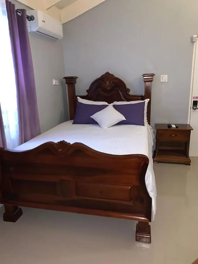 Paradise Villa Shared Onsite Private Pool Onsite Gym Ocho Rios Homestay
