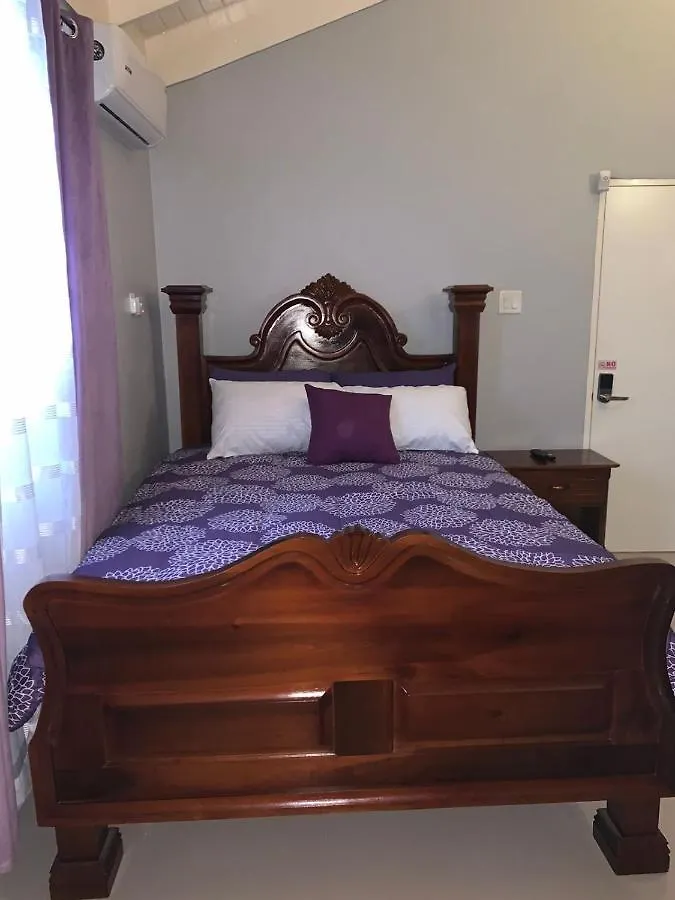 Paradise Villa Shared Onsite Private Pool Onsite Gym Ocho Rios 0*,  Jamaica